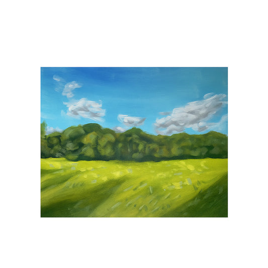 Landskap 2
